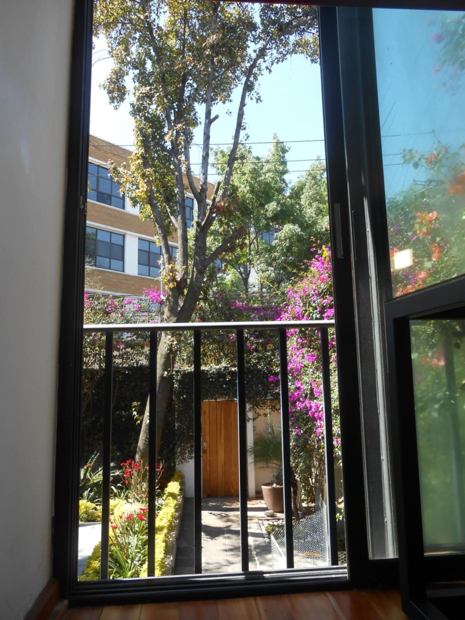 Apartmán Terraza & Loft San Angel Ciudad de México Exteriér fotografie