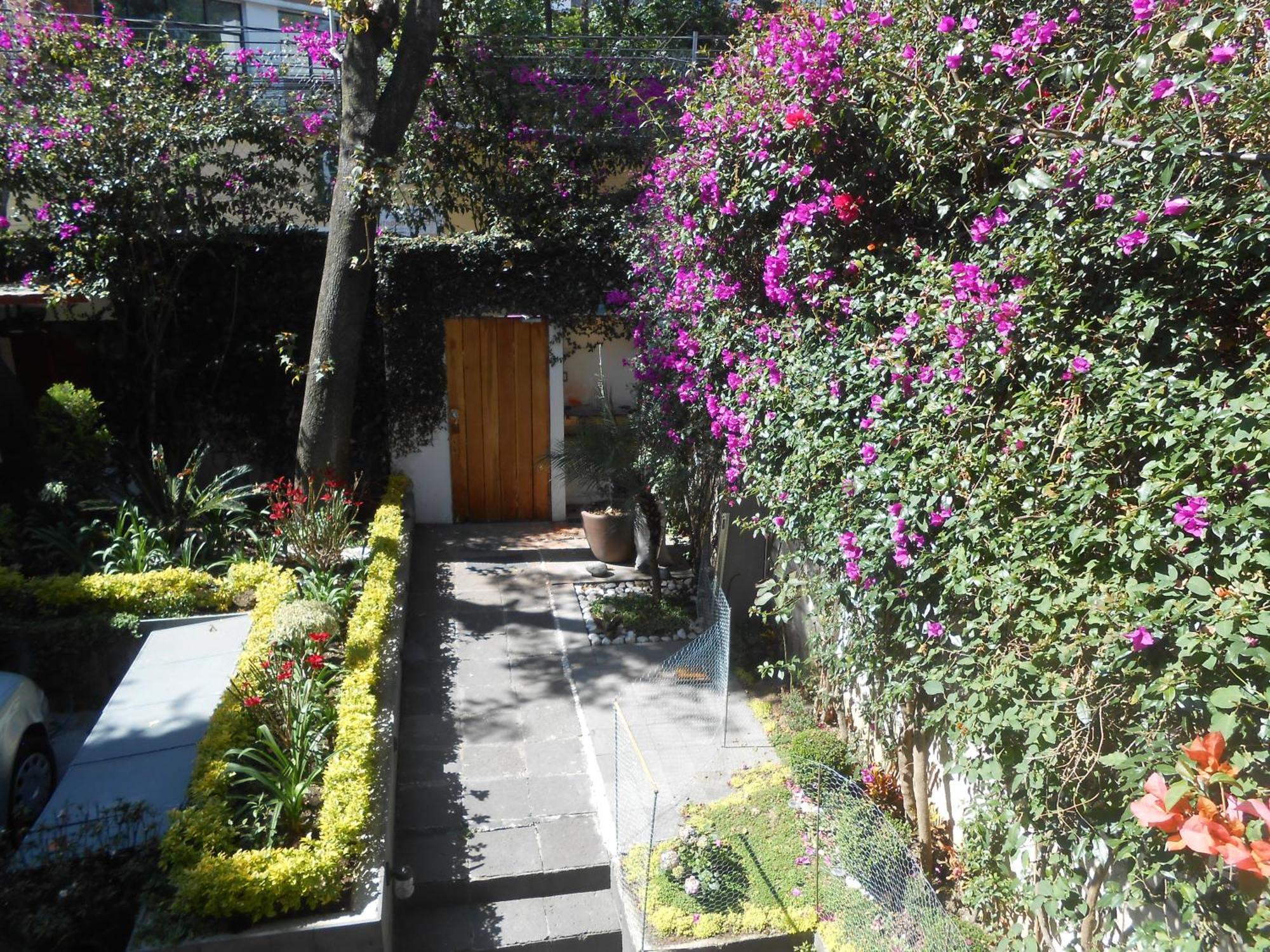 Apartmán Terraza & Loft San Angel Ciudad de México Exteriér fotografie
