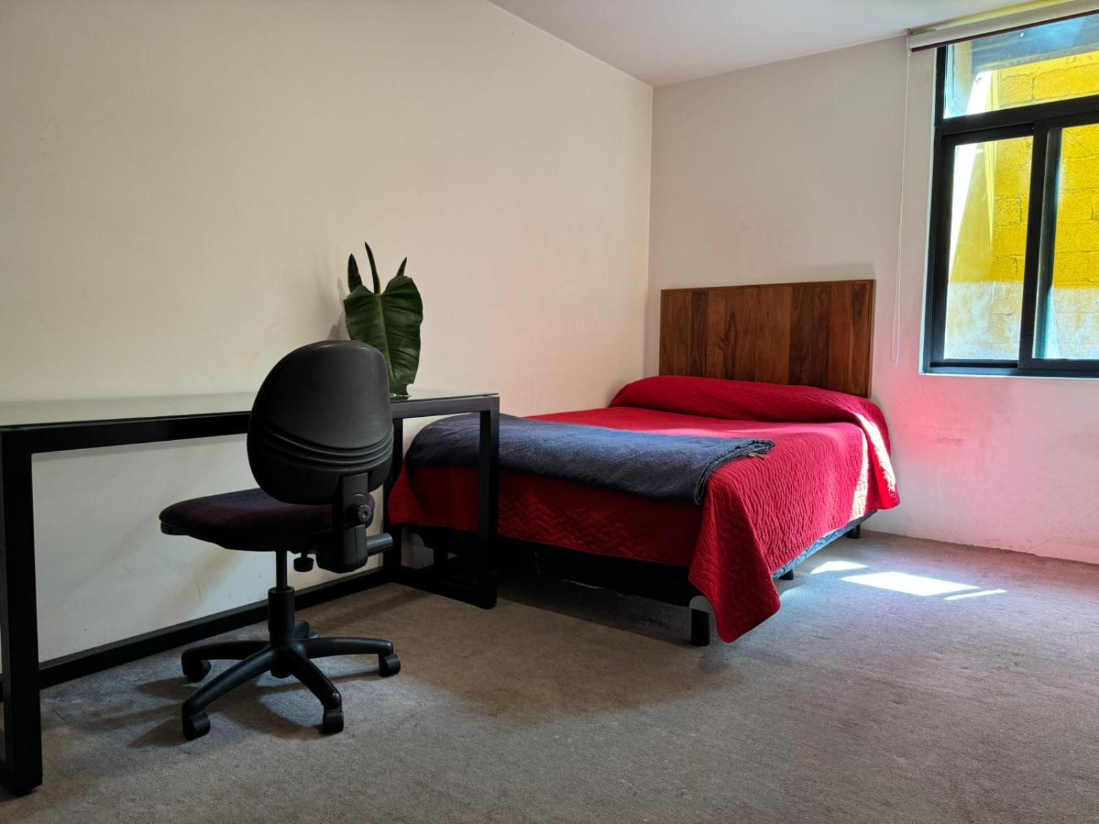 Apartmán Terraza & Loft San Angel Ciudad de México Exteriér fotografie