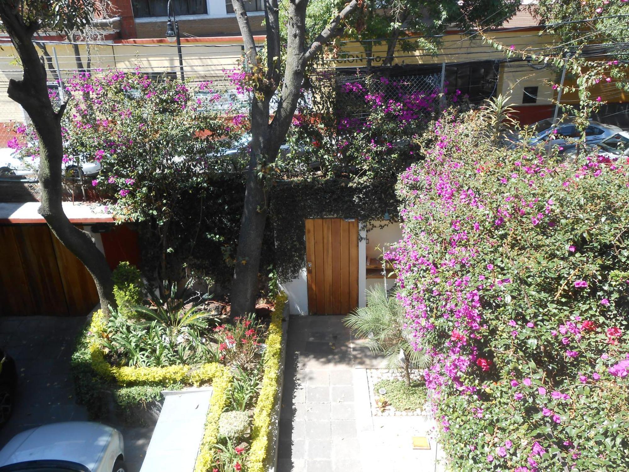 Apartmán Terraza & Loft San Angel Ciudad de México Exteriér fotografie