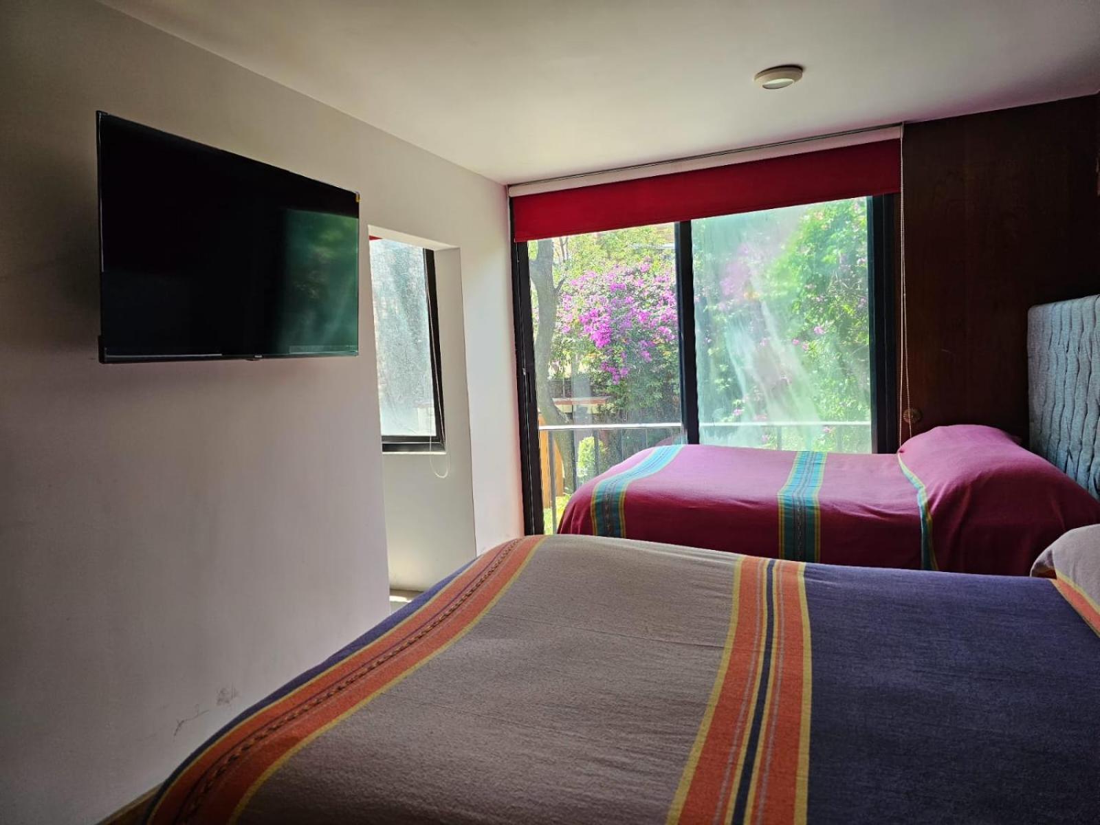 Apartmán Terraza & Loft San Angel Ciudad de México Exteriér fotografie